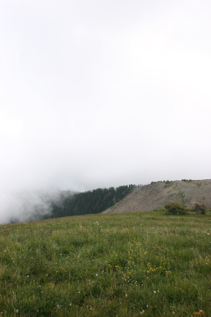 August 08, 2008