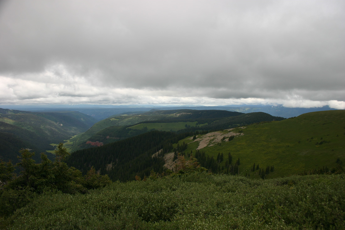 August 08, 2008