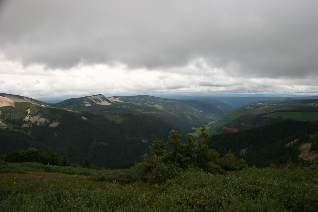 August 08, 2008