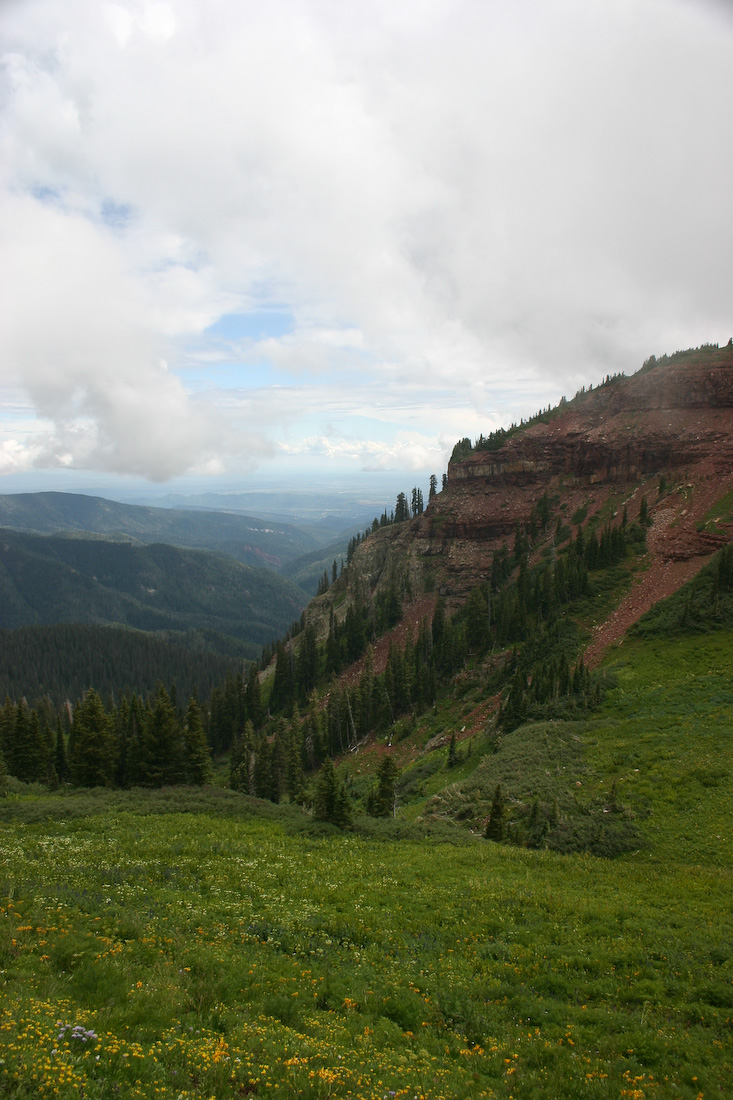 August 08, 2008
