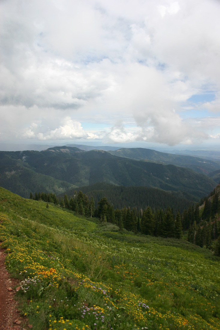 August 08, 2008