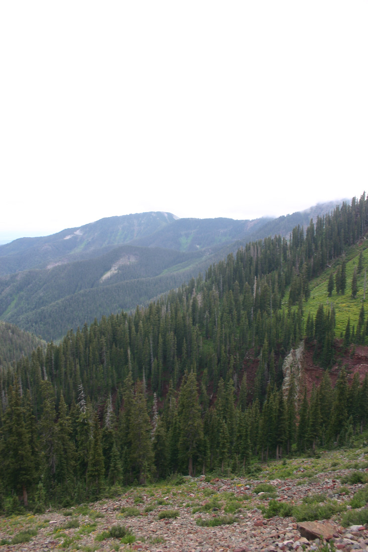 August 08, 2008