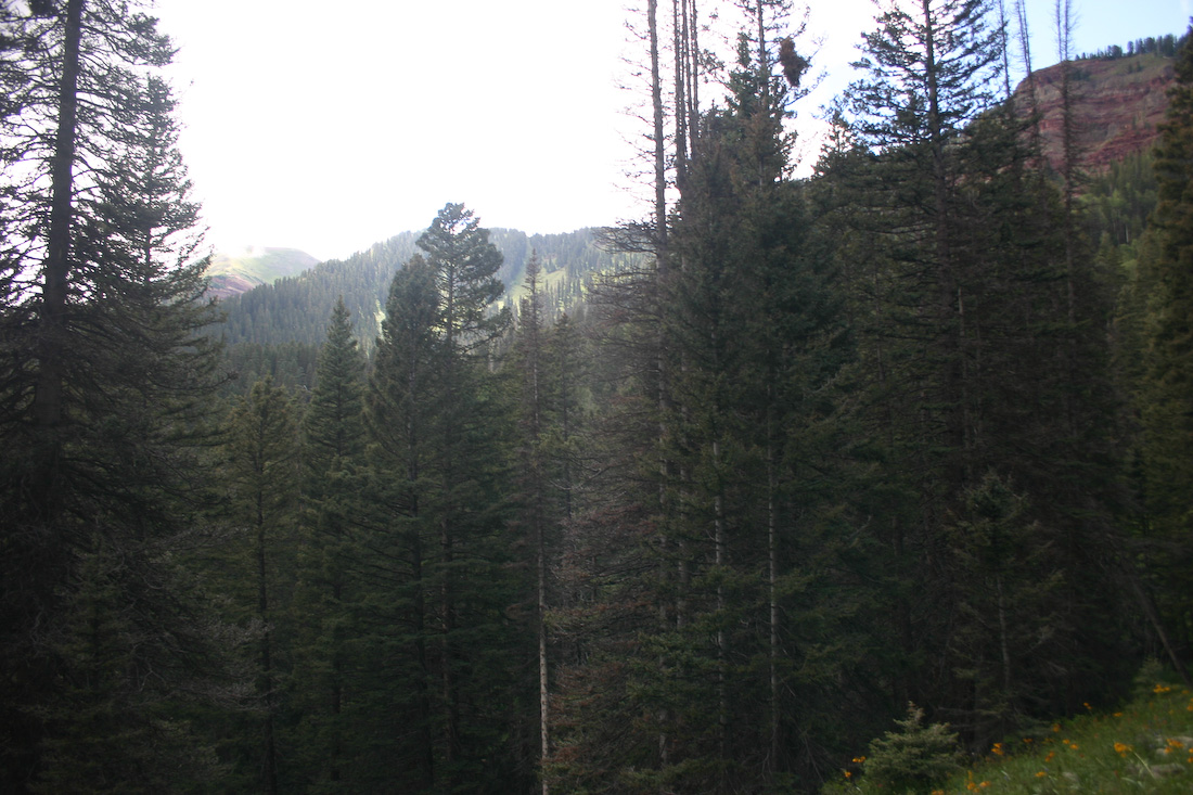 August 08, 2008