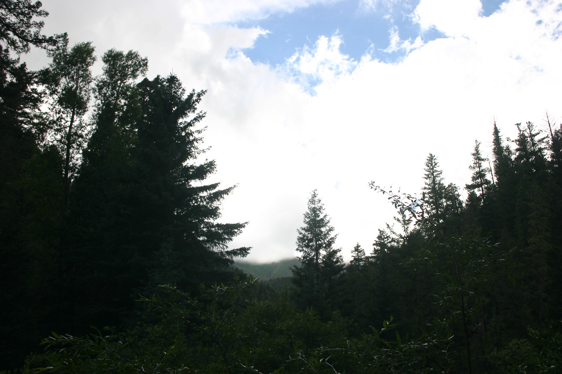 August 08, 2008