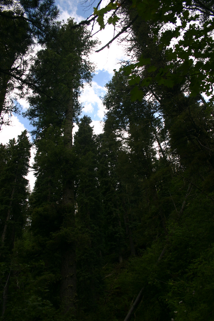 August 08, 2008