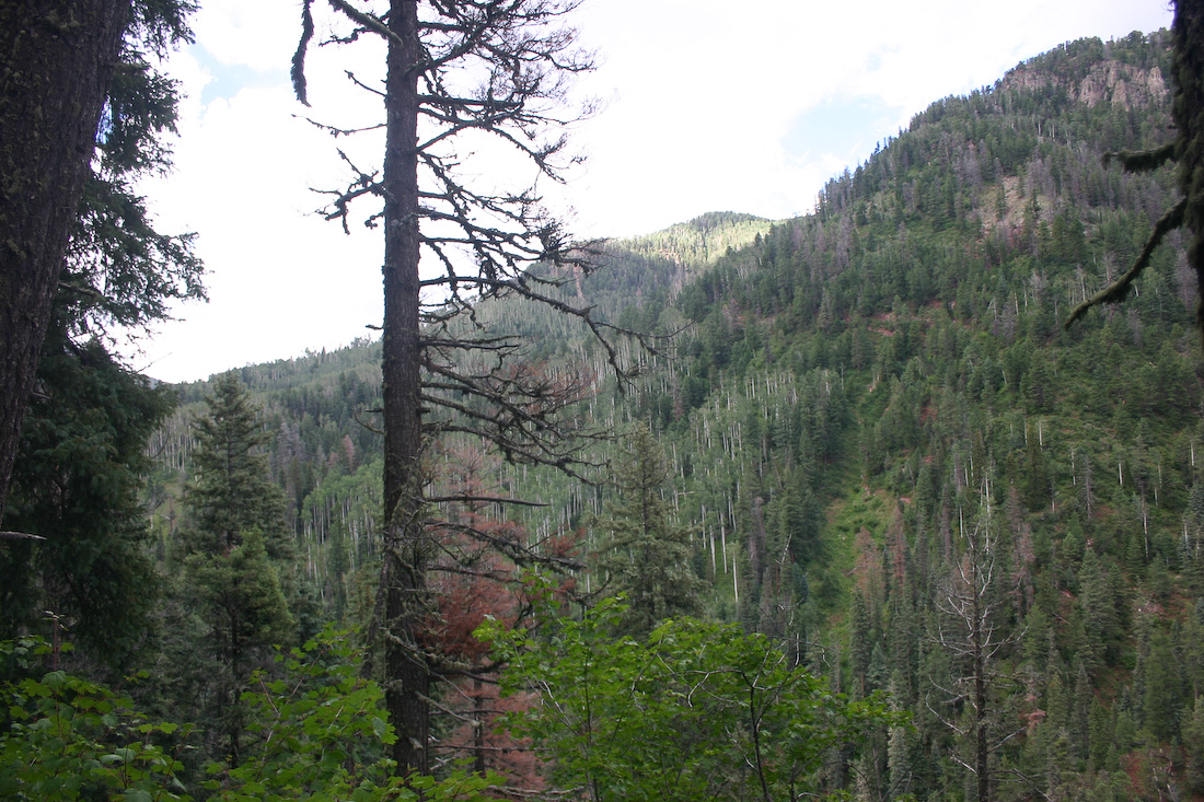 August 08, 2008