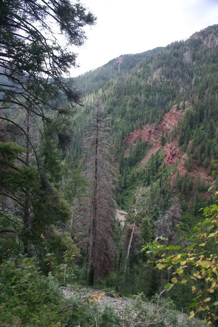August 08, 2008