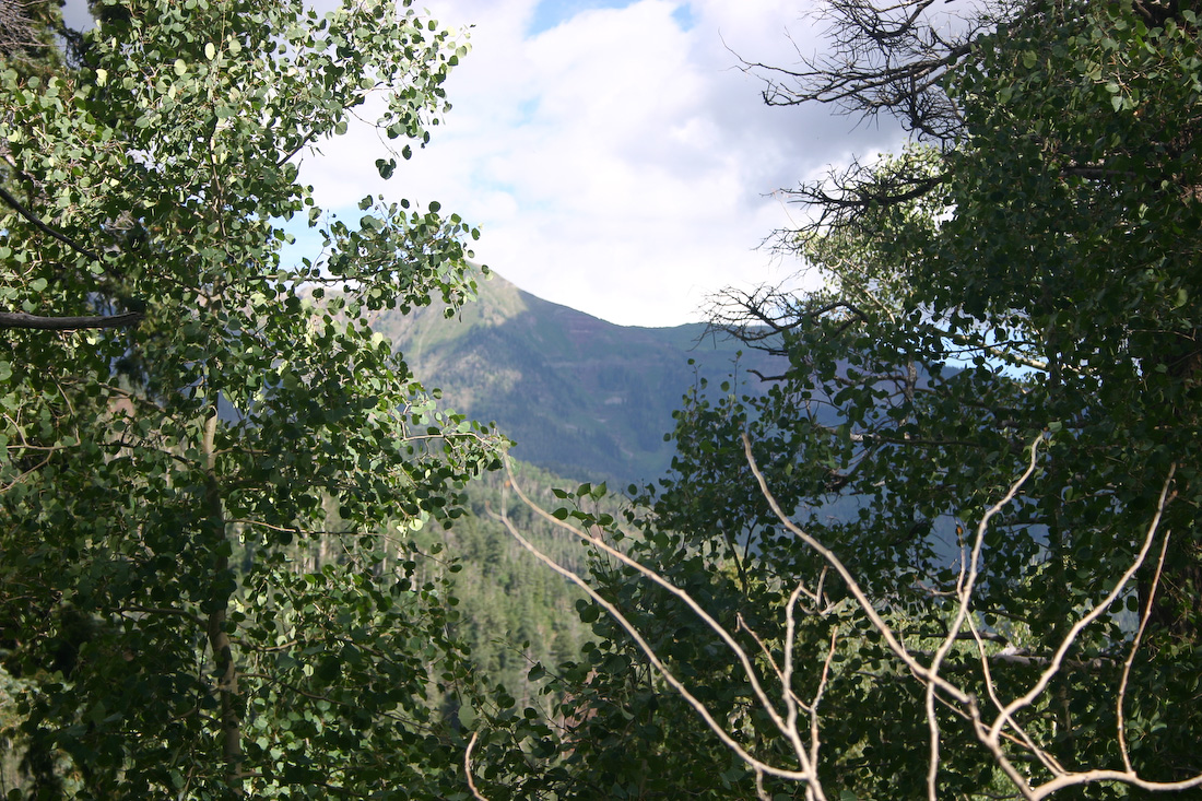 August 09, 2008
