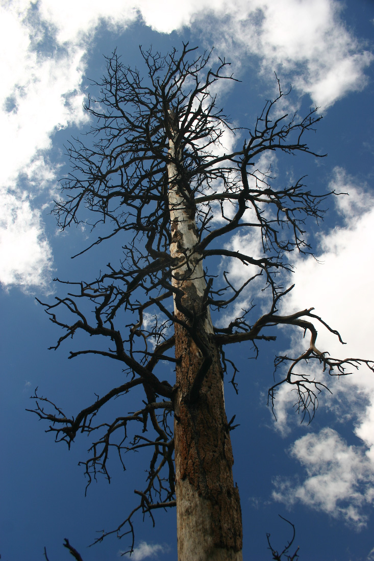 August 09, 2008