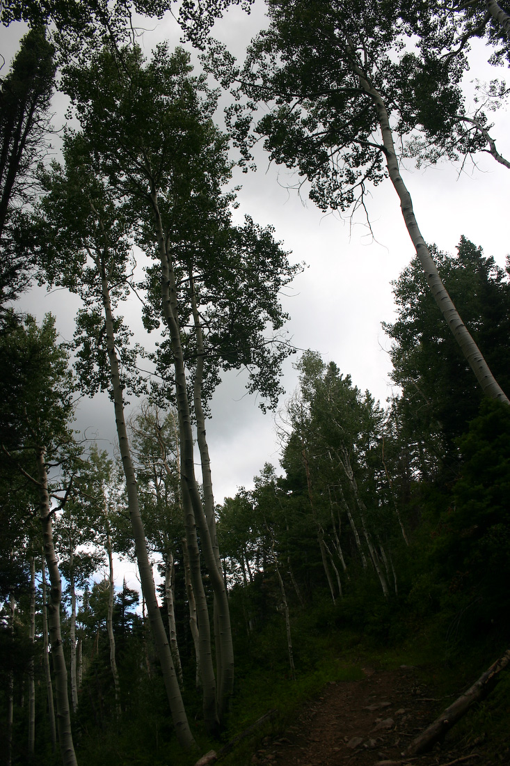 August 09, 2008