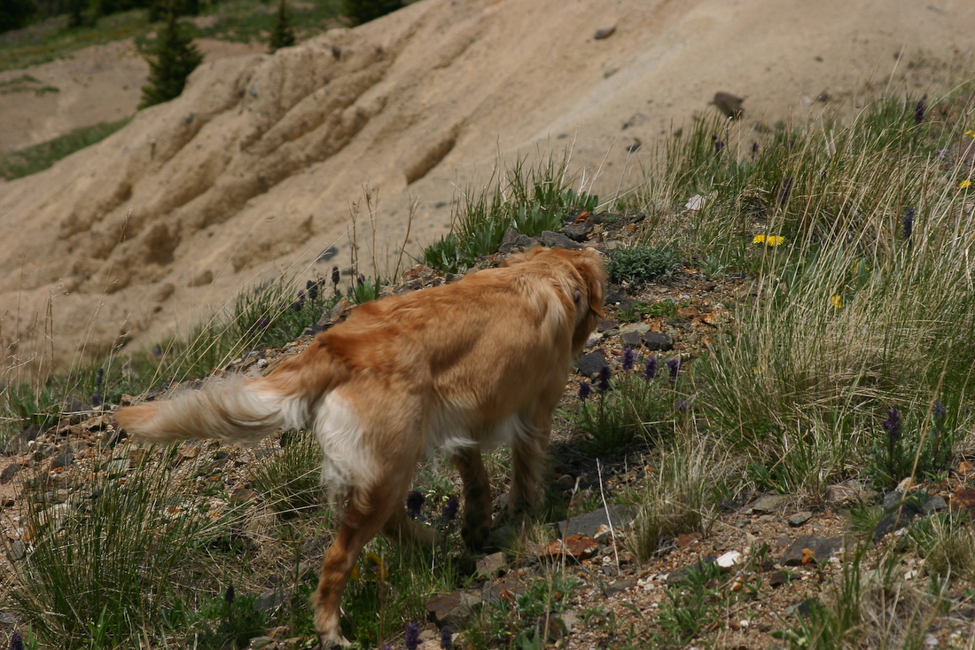 July 04, 2009