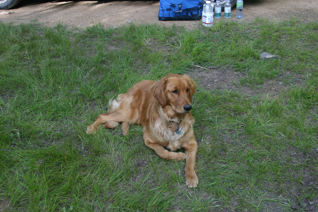 July 04, 2009