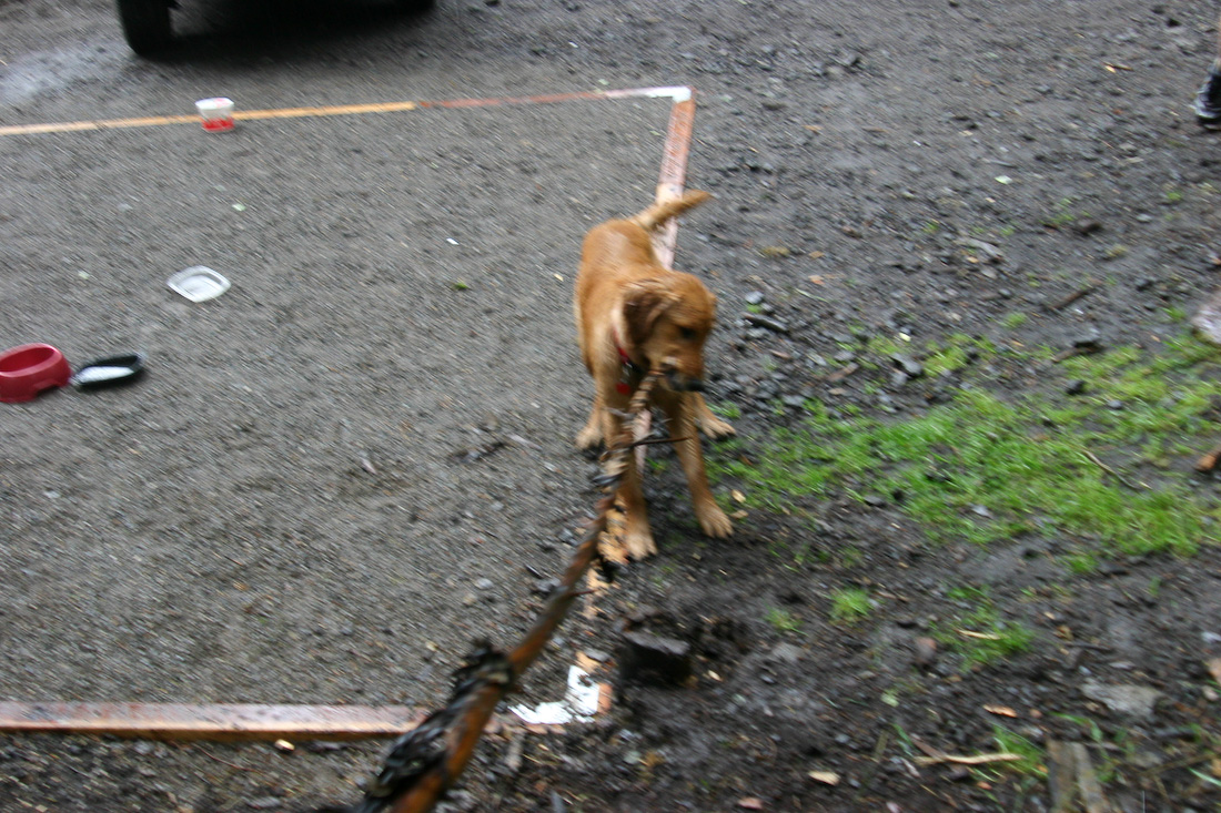 August 31, 2008