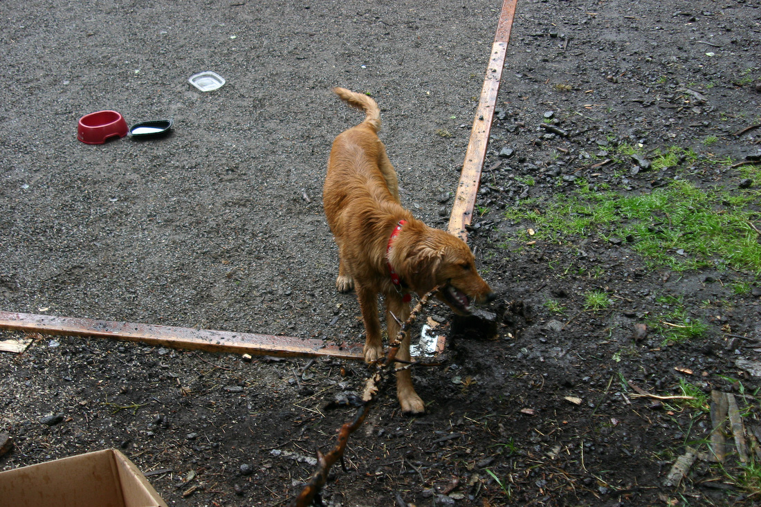 August 31, 2008