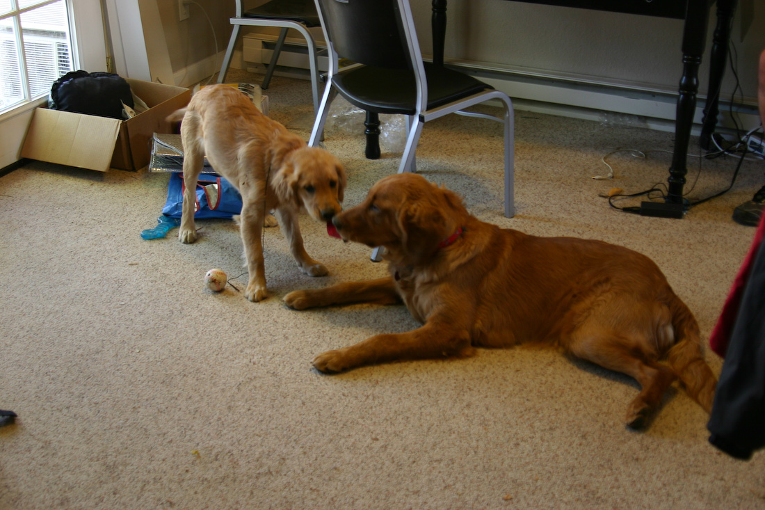 October 24, 2008