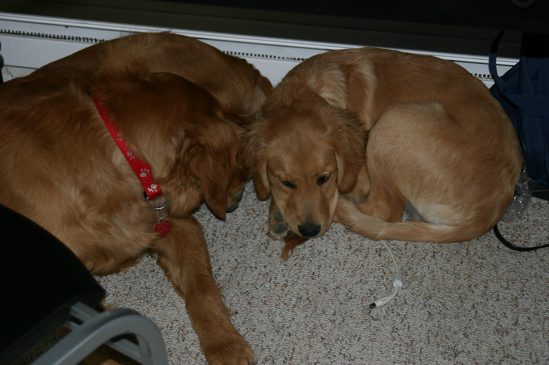 October 24, 2008