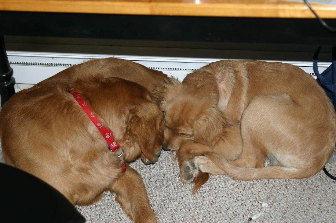 October 24, 2008