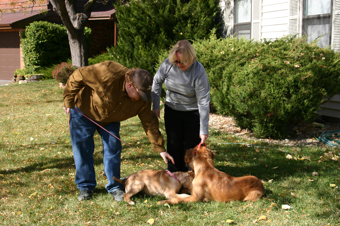 October 25, 2008