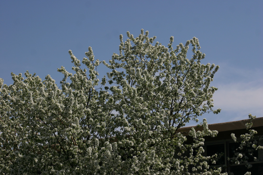 April 22, 2006