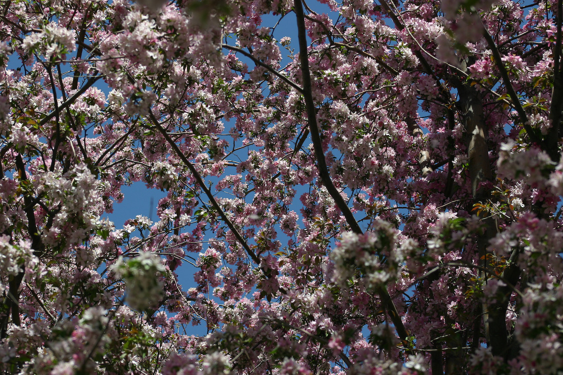 April 22, 2006